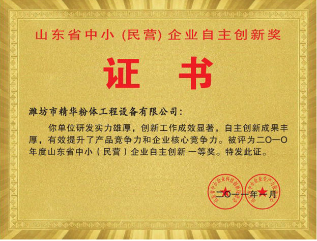 山东省中幼(民营) 企业自主创新奖