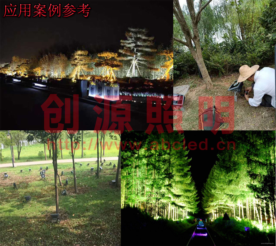 森林舞会官网-追求康健,你我一起生长