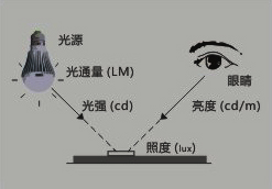 森林舞会官网-追求康健,你我一起生长