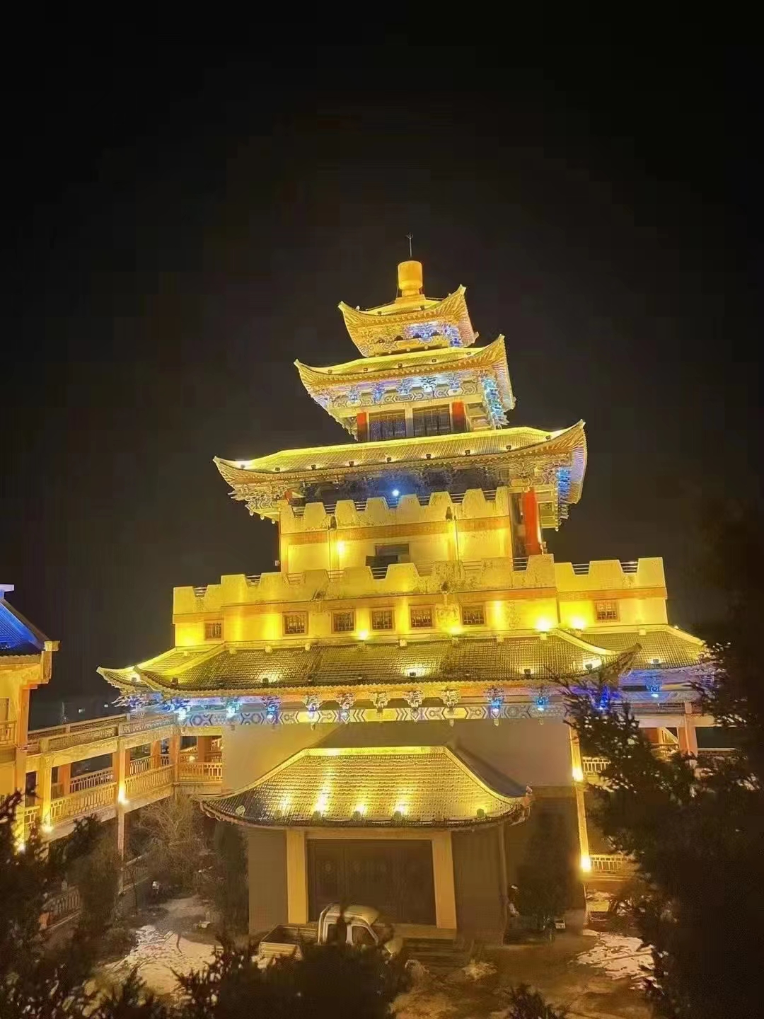 森林舞会官网-追求康健,你我一起生长