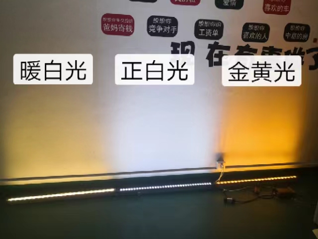 森林舞会官网-追求康健,你我一起生长